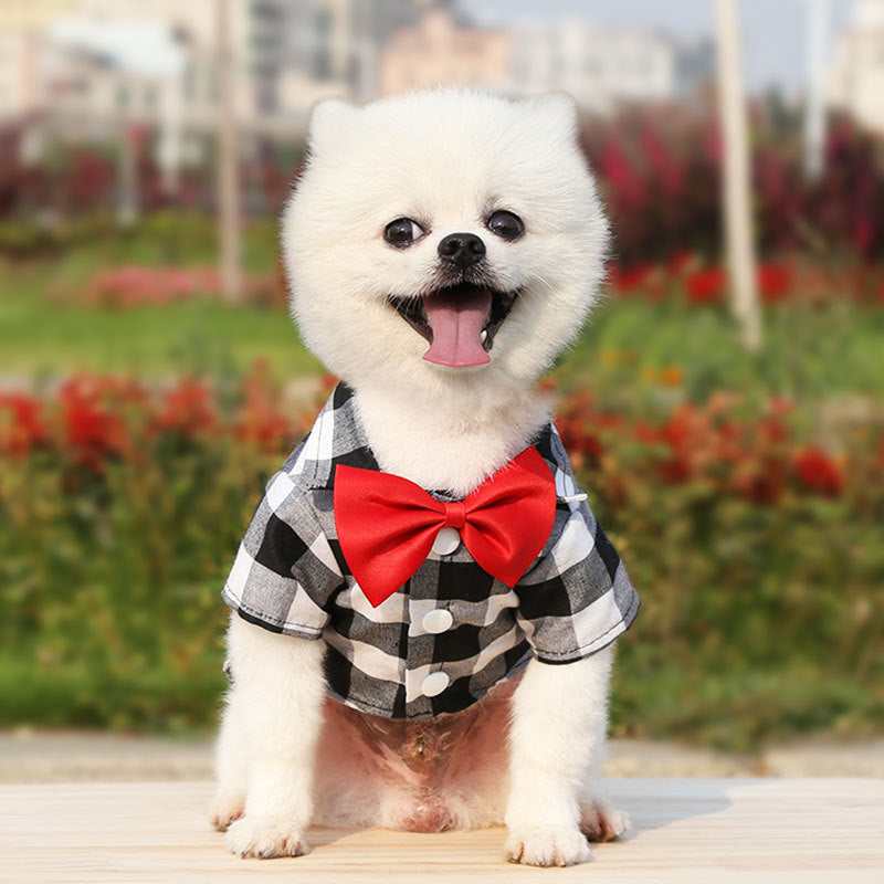 Spring Summer Autumn Dog Shirts Suits Wedding Dresses Teddy Bears Pets Cats Clothes Supplies